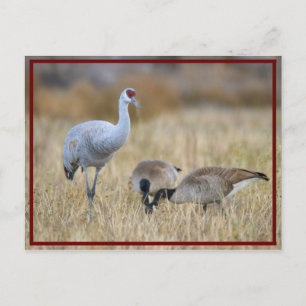 best of friends postcard