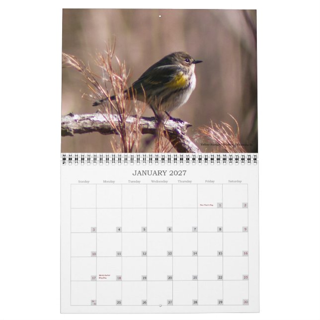 Best of Jamie Anderson Nature Photography Calendar (Jan 2027)