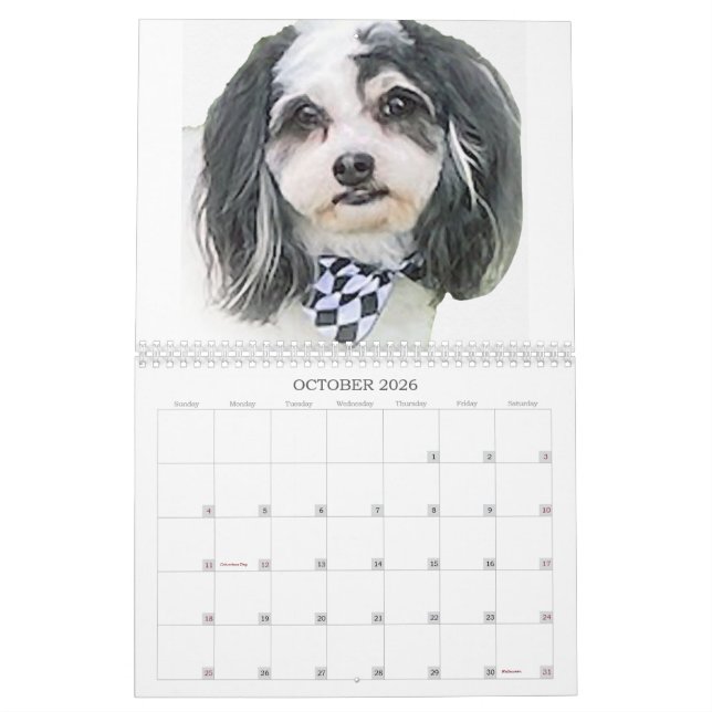 Best of K-Cee Cute Zuchon Dog 2023-2024 Calendar (Oct 2026)