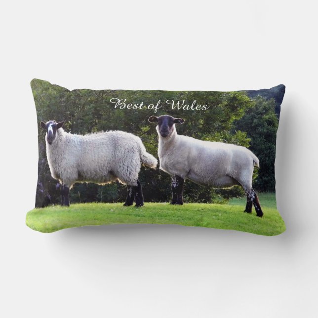 Best of Welsh Lamb. Lumbar Cushion (Front)