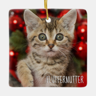 Best Personalized Picture Cat Kitten + Name Photo Ceramic Ornament