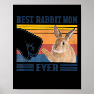 Best Rabbit Mum Ever Mother's Day gift  Poster