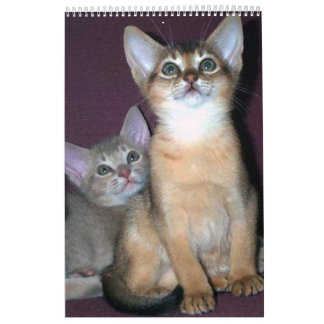 Best Seller! Abyssinian kittens & Cats Calendar