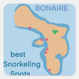 Best snorkelling and diving in bonaire square sticker