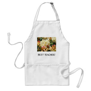 BEST TEACH ER GIFT Art Arpon Crafts Apron Rhodies