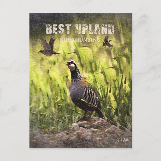 Best Upland Bird Hunting  Holiday Postcard (Front)