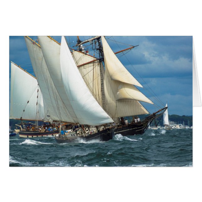 Best Wind (Front Horizontal)