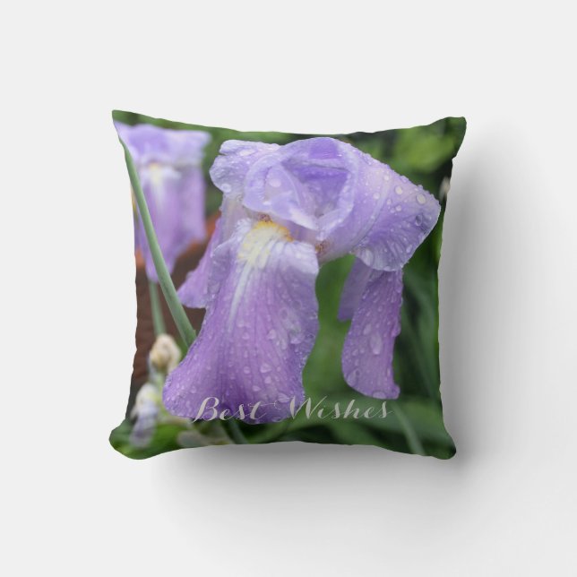 Best Wishes. Iris. Text. Cushion (Front)