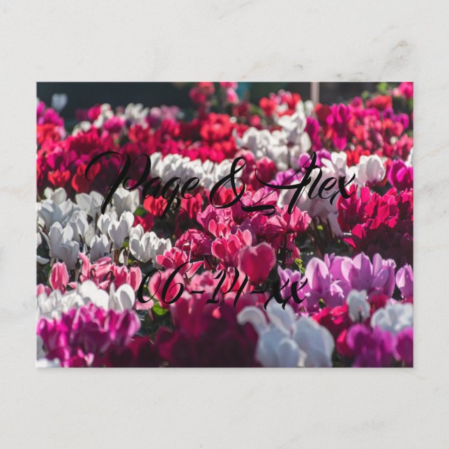 Best Wishes Newly Weds Wedding Destiny's Destiny P Postcard (Front)