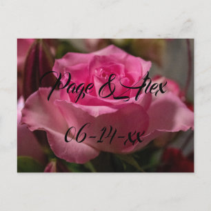 Best Wishes Newly Weds Wedding Destiny's Destiny P Postcard