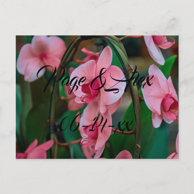 Best Wishes Newly Weds Wedding Destiny's Destiny P Postcard (Front)