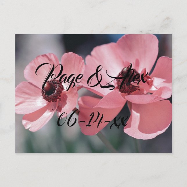 Best Wishes Newly Weds Wedding Destiny's Destiny P Postcard (Front)