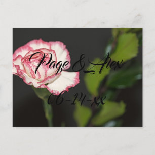 Best Wishes Newly Weds Wedding Destiny's Destiny P Postcard