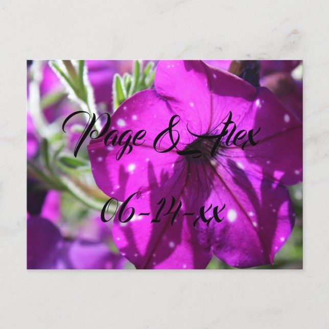 Best Wishes Newly Weds Wedding Destiny's Destiny P Postcard (Front)