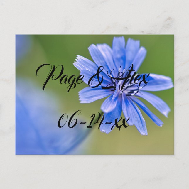 Best Wishes Newly Weds Wedding Destiny's Destiny P Postcard (Front)