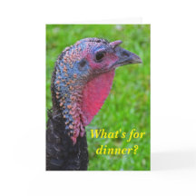 Best wishes on turkey day, a cute reflection.