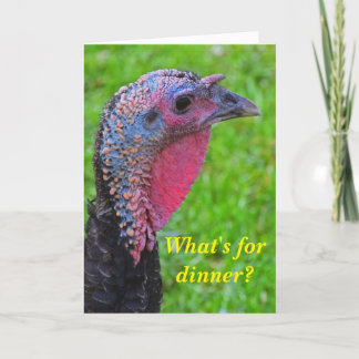 Best wishes on turkey day, a cute reflection. holiday card