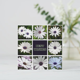 Best Wishes White African Daisy Photo Collage Save The Date