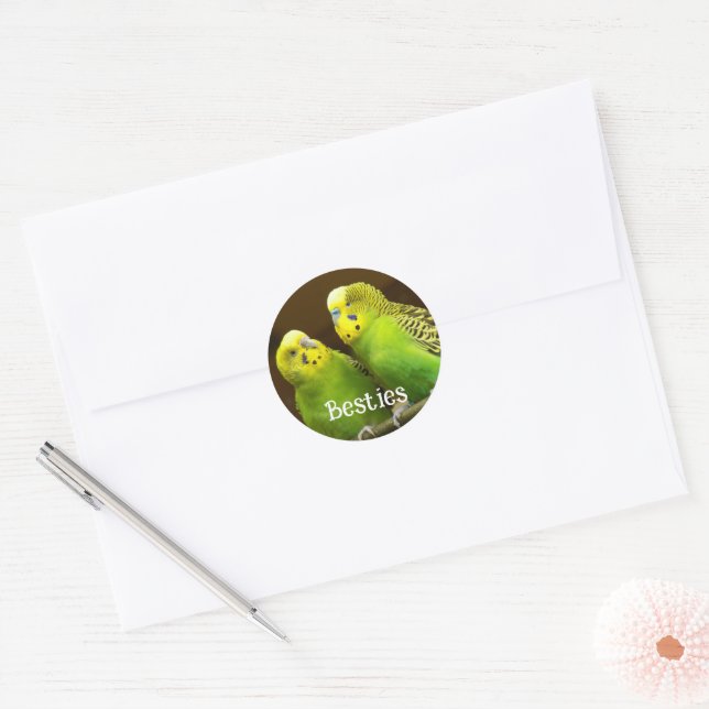 Besties Green and Yellow Parakeets Classic Round Sticker (Envelope)
