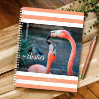 Besties Pink Flamingos Orange Stripes Custom Name