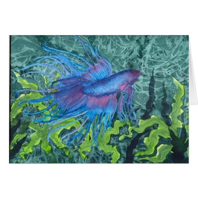 Beta Blue (Front Horizontal)