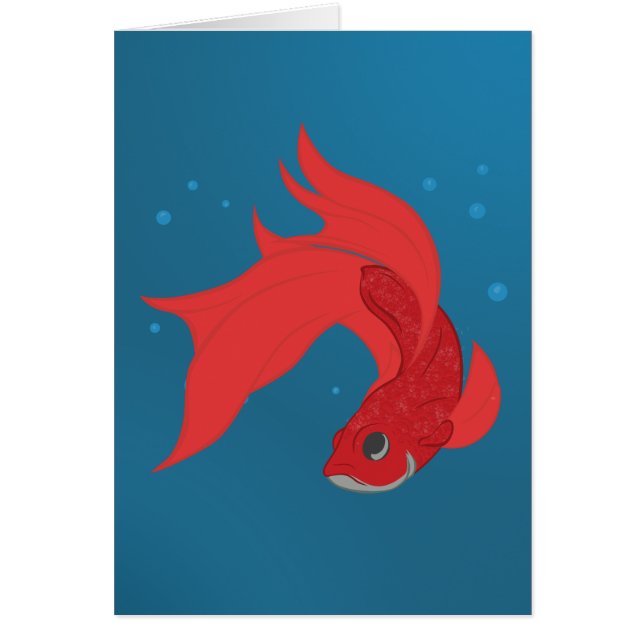 Beta Fish (Front)