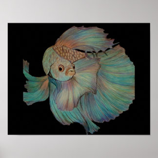 Beta Fish by Carol Zeock Poster
