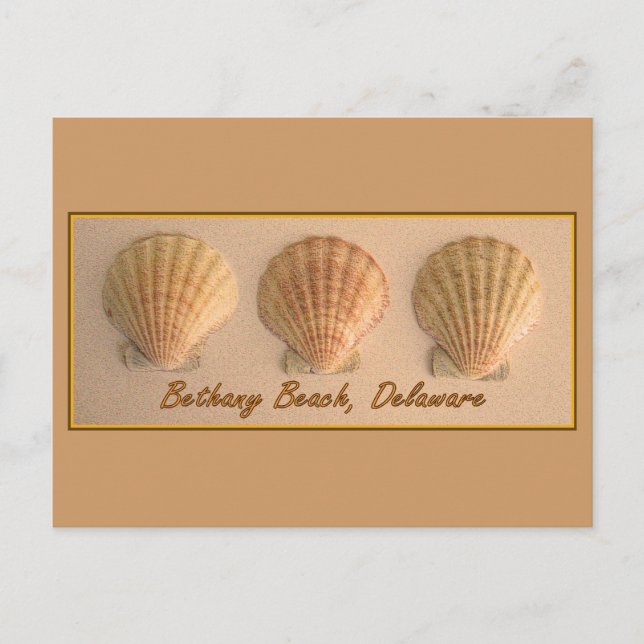 Bethany Beach, Delaware Postcard (Front)