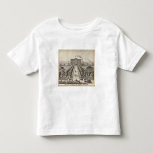Bethany College, Lindsborg, Kansas Toddler T-Shirt