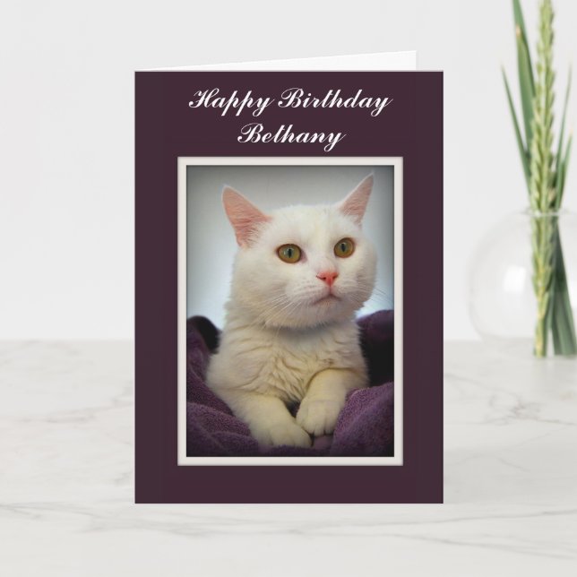 Bethany Happy Birthday White Cat Card (Front)