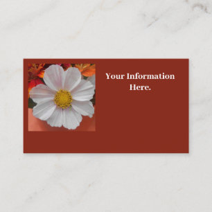Bethune Business Card