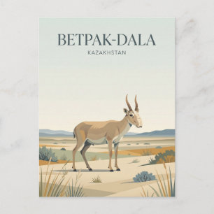Betpak-Dala Steppe Kazakhstan Postcard