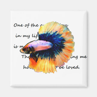 betta（闘魚）マグネット magnet