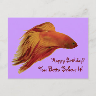 Betta - Birthday Postcard