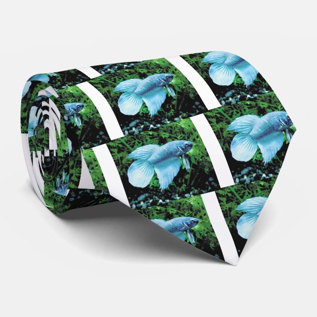 betta,cobalt blue tie (Rolled)