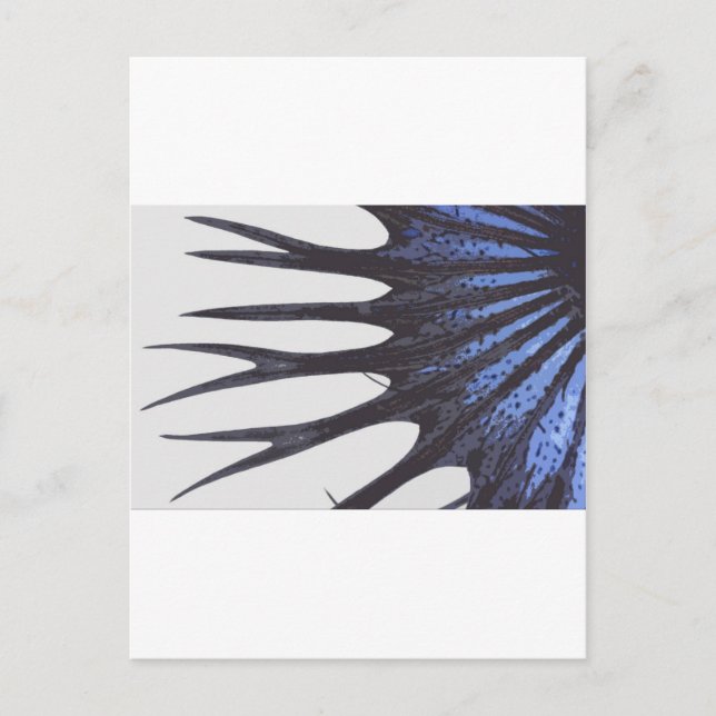 Betta crowntail postcard (Front)
