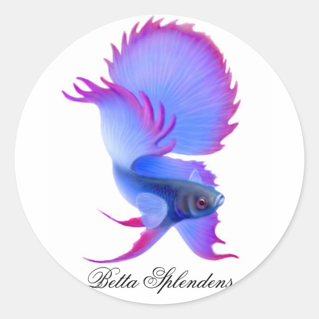 Betta Fighting Fish Sticker (Front)