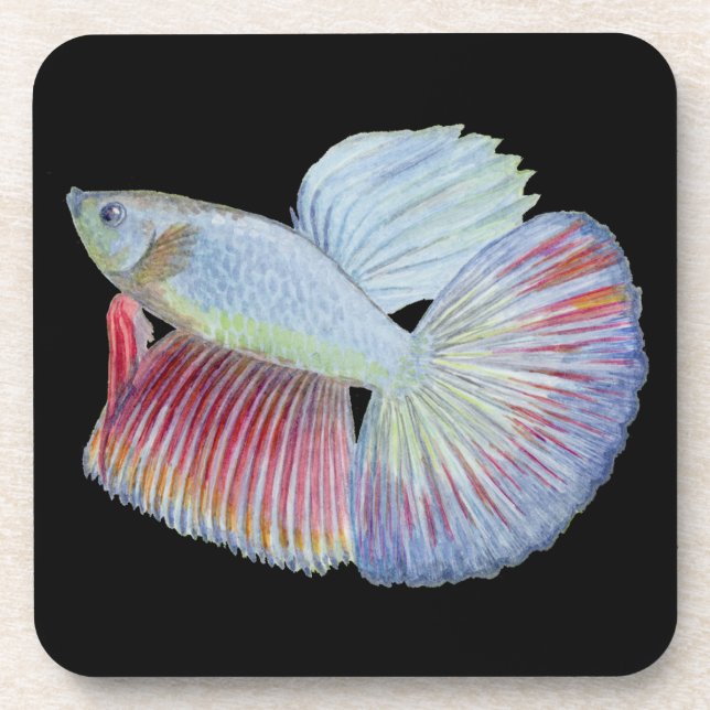 Betta Fish Beverage Coaster (Front)