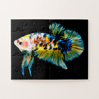 Betta Fish Blue & Gold Jigsaw Puzzle