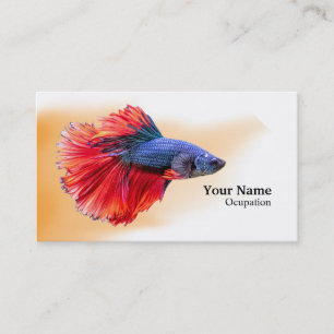 Betta Fish Business Card