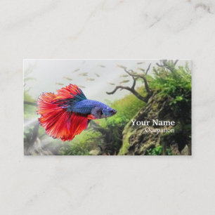 Betta Fish Business Card