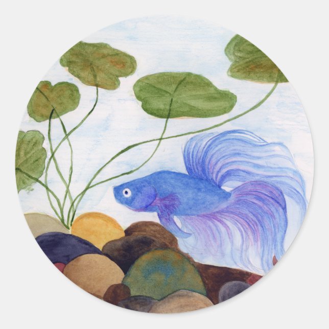 Betta Fish Classic Round Sticker (Front)