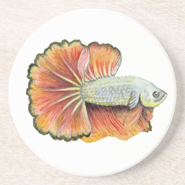 Betta Fish Coaster (Front)