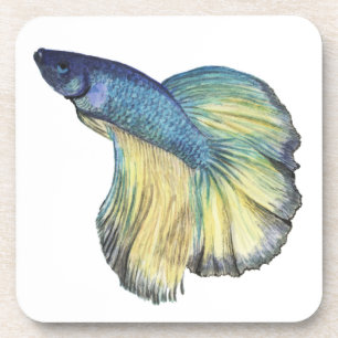 Betta Fish Coaster