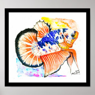 Betta Fish Fancy Candy Watercolor Art Poster