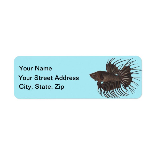 Betta Fish Label Return Address Label (Front)