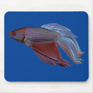 Betta Fish Mouse Pad