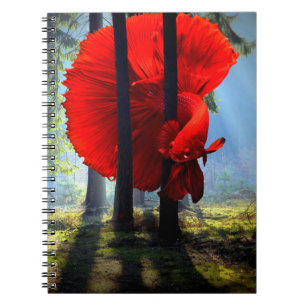 Betta Fish Notebook