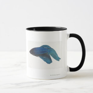 Betta Fish or Male Blue Siamese Fighting Fish Mug