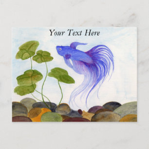 Betta Fish Postcard